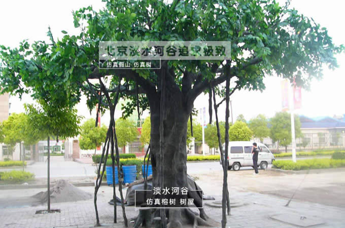 仿真樹(shù)與仿真樹(shù)大門(mén)的選址和布局要求