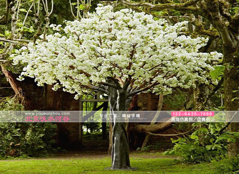 一個富有創造性的仿真樹角色-“布拉德福德梨“樹是從中國引進