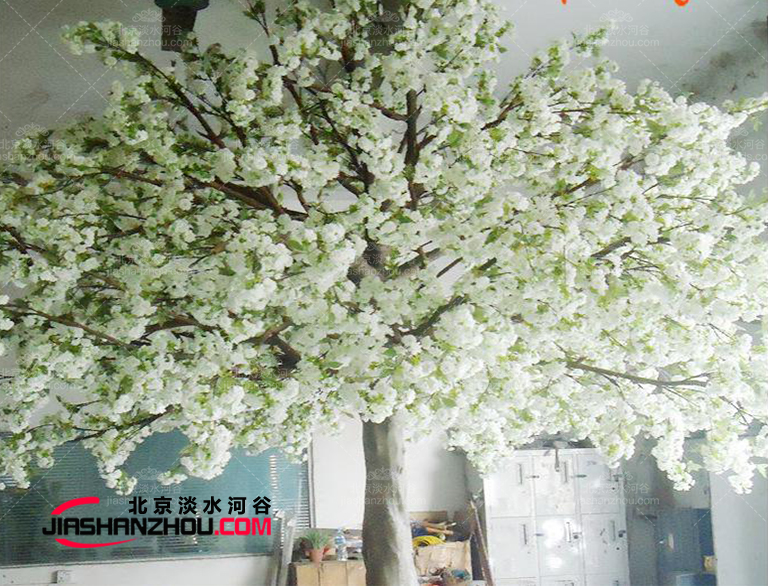 這個仿真樹流蘇樹廠家制作世界名觀賞性仿真樹國內外皆有施工