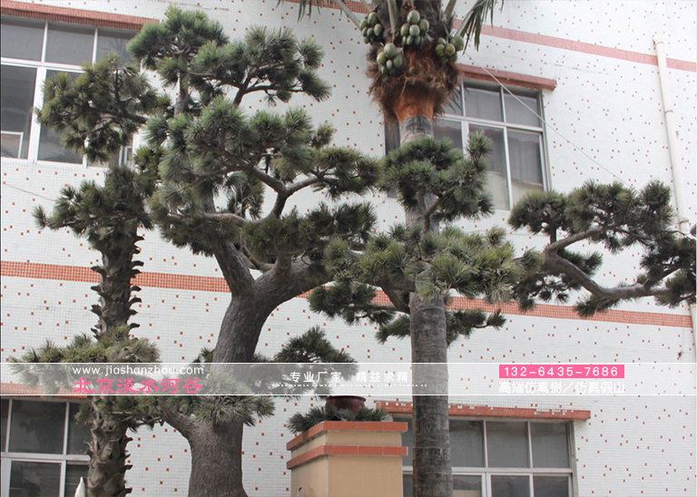 火炬松仿真樹北美百強假樹模擬對象-東南地區具商業意義的樹木之一