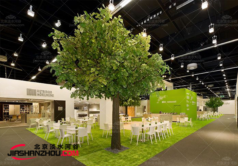 安大略科學中心春榆仿真樹完美再現活榆樹真實形態