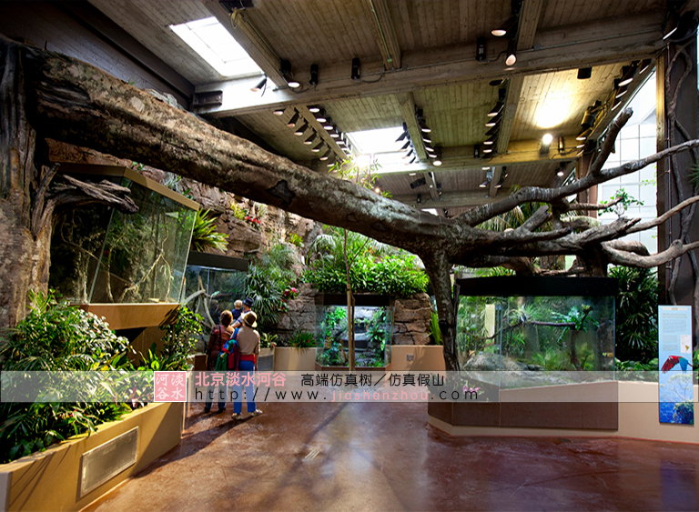 一個國外的客戶想做漿果寶仿真樹大家知道是什么樹嗎