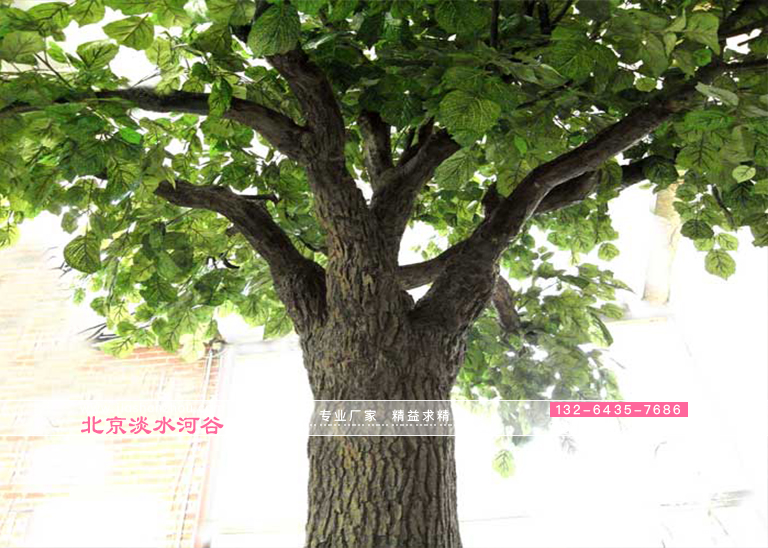 擴大仿真樹美化業務時的10個財務錯誤