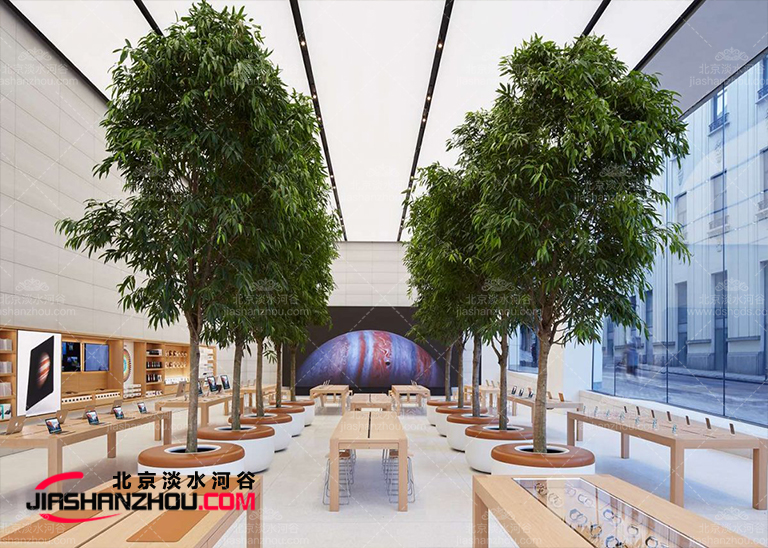 論仿真樹(shù)和樹(shù)的相互補(bǔ)償