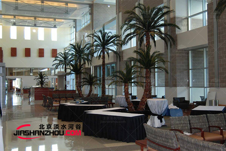 高質量持久保存仿真樹棕櫚樹我們開放參觀