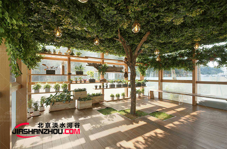 十大人造多肉質(zhì)植物仿真樹配飾專家為您傾情推薦