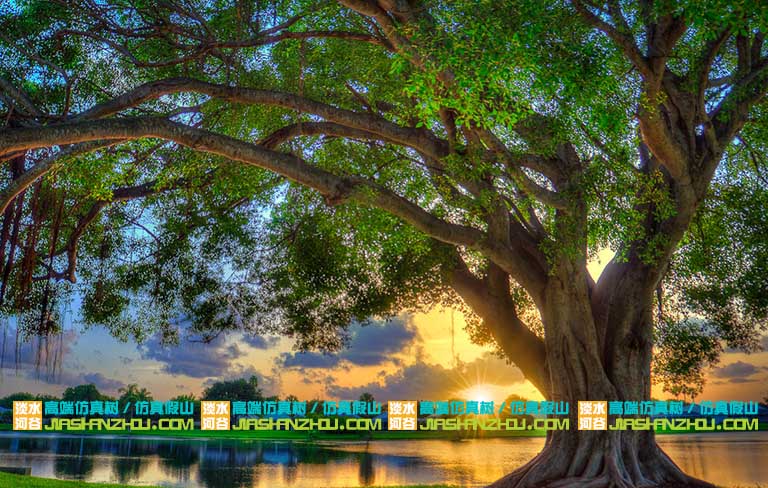 仿真榕樹裝飾幼兒園效果不是一般的好