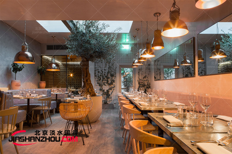 仿真樹f 格和房間的搭配