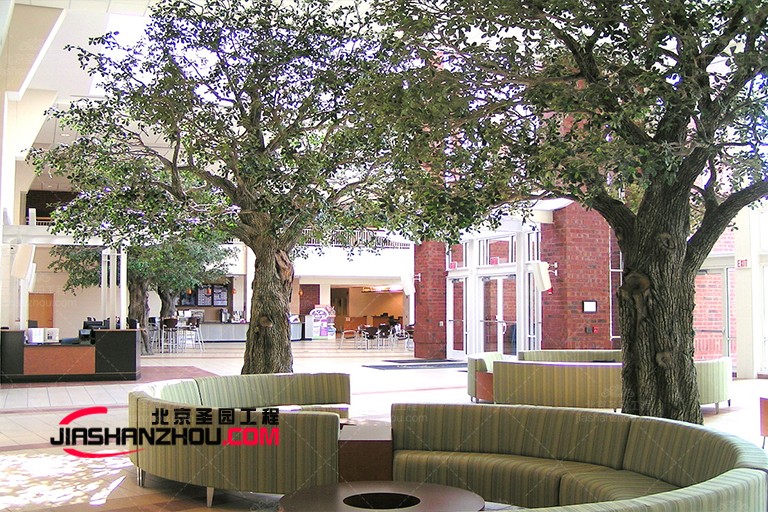 如果沒有仿真樹干旱條件下的園藝怎么順利進(jìn)行