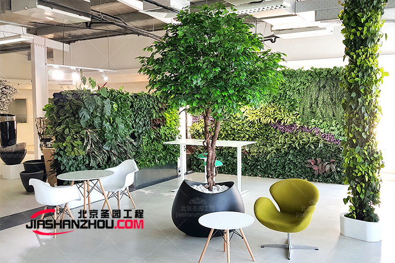 如何創建修剪整齊的室內外黃楊木仿真樹籬景觀