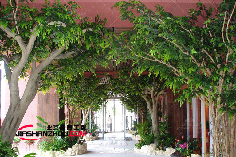 仿真樹種類豐富專業(yè)設(shè)計(jì)生產(chǎn)廠家一站式服務(wù)