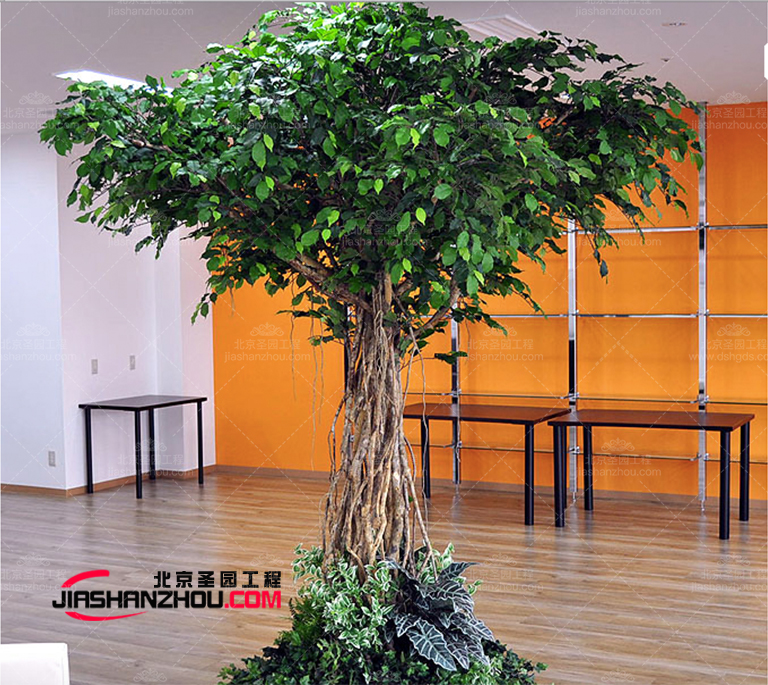 多顏多款的人造仿真樹(shù)能與許多外觀(guān)和諧融為一體