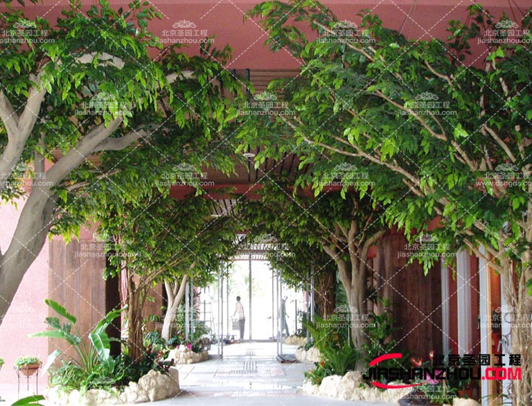 仿真樹當你厭倦了城市的喧鬧時創出美景讓大家向往大自然