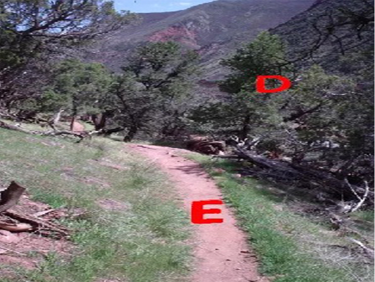 風(fēng)暴國(guó)王山紀(jì)念步道
